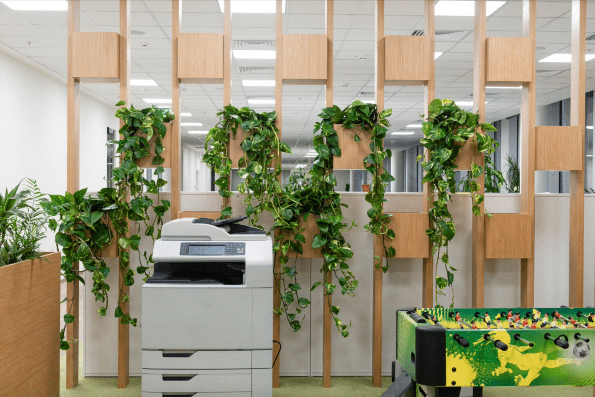 Featured Image from Top 5 Office Plants for a Healthier Workspace